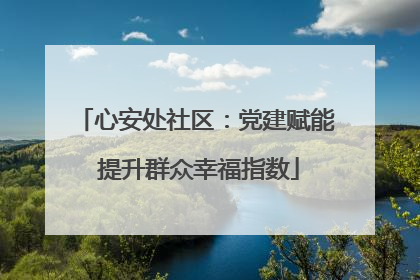 心安处社区：党建赋能 提升群众幸福指数