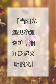 当阳光遇见净滩巡护，湘江泛起文明的光