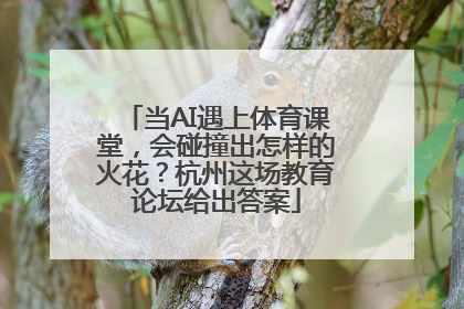 当AI遇上体育课堂，会碰撞出怎样的火花？杭州这场教育论坛给出答案