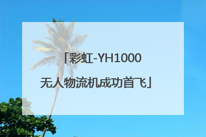 彩虹-YH1000无人物流机成功首飞