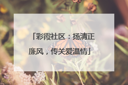 彩霞社区：扬清正廉风，传关爱温情