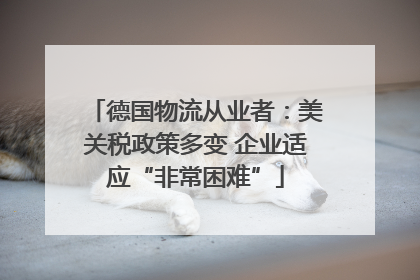 德国物流从业者：美关税政策多变 企业适应“非常困难”