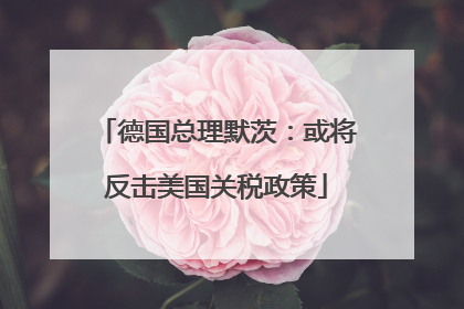 德国总理默茨：或将反击美国关税政策