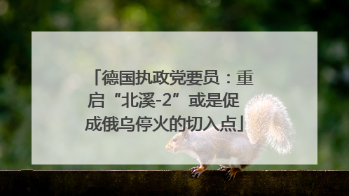 德国执政党要员：重启“北溪-2”或是促成俄乌停火的切入点