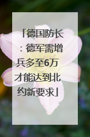 德国防长：德军需增兵多至6万才能达到北约新要求