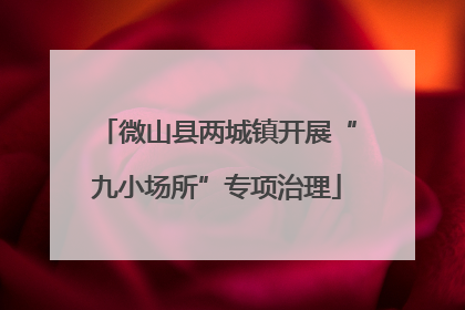 微山县两城镇开展“九小场所”专项治理