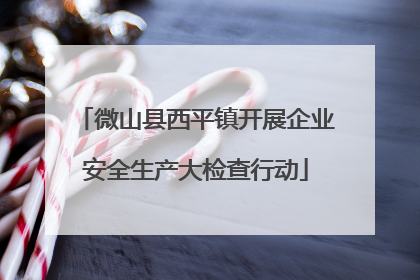 微山县西平镇开展企业安全生产大检查行动
