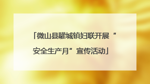 微山县驩城镇妇联开展“安全生产月”宣传活动