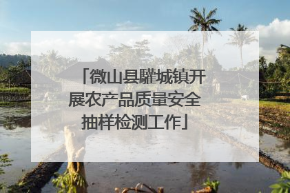 微山县驩城镇开展农产品质量安全抽样检测工作