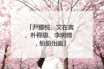 尹锡悦、文在寅、朴槿惠、李明博，纷纷出面
