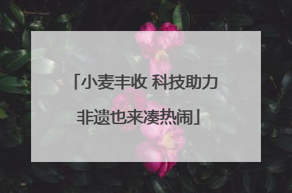 小麦丰收 科技助力 非遗也来凑热闹