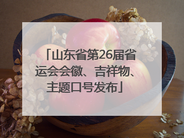 山东省第26届省运会会徽、吉祥物、主题口号发布