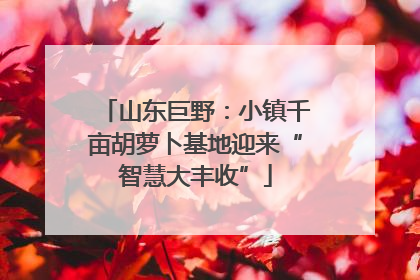 山东巨野：小镇千亩胡萝卜基地迎来“智慧大丰收”