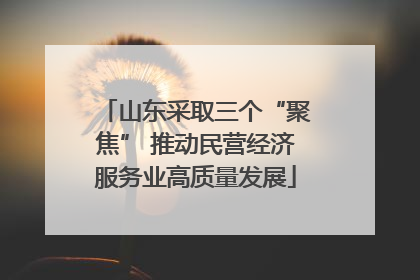 山东采取三个“聚焦” 推动民营经济服务业高质量发展