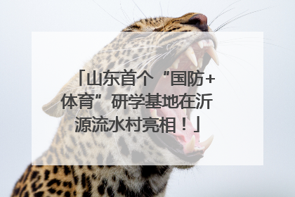 山东首个“国防+体育”研学基地在沂源流水村亮相！