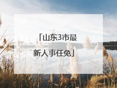 山东3市最新人事任免