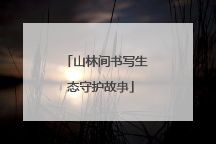 山林间书写生态守护故事
