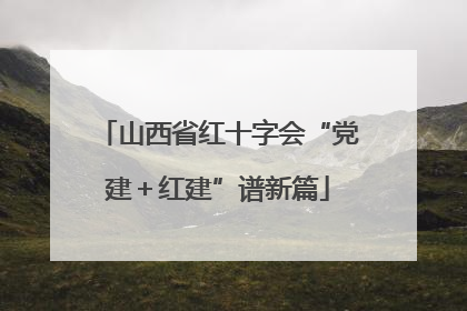 山西省红十字会“党建＋红建”谱新篇