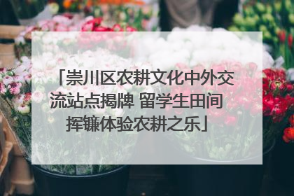 崇川区农耕文化中外交流站点揭牌 留学生田间挥镰体验农耕之乐