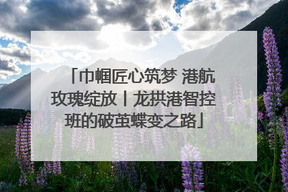 巾帼匠心筑梦 港航玫瑰绽放丨龙拱港智控班的破茧蝶变之路