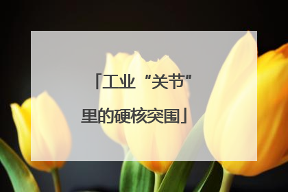 工业“关节”里的硬核突围