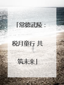 常德武陵：税月童行 共筑未来