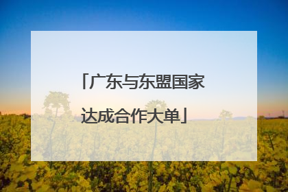 广东与东盟国家达成合作大单