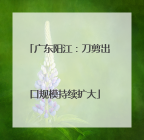 广东阳江：刀剪出口规模持续扩大