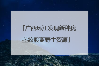 广西环江发现新种疣茎绞股蓝野生资源