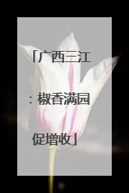 广西三江：椒香满园促增收