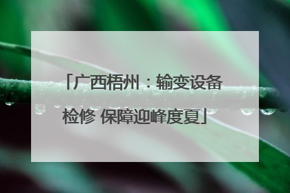 广西梧州：输变设备检修 保障迎峰度夏