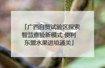 广西自贸试验区探索智慧查验新模式 便利东盟水果进境通关