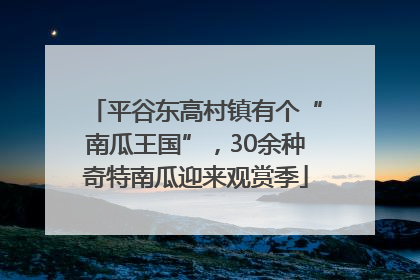 平谷东高村镇有个“南瓜王国”，30余种奇特南瓜迎来观赏季