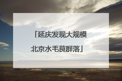 延庆发现大规模北京水毛茛群落