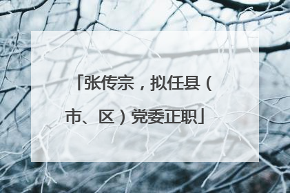 张传宗，拟任县（市、区）党委正职