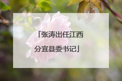 张涛出任江西分宜县委书记