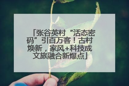 张谷英村“活态密码”引百万客！古村焕新，家风+科技成文旅融合新爆点