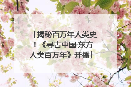 揭秘百万年人类史！《寻古中国·东方人类百万年》开播
