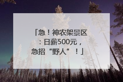 急！神农架景区：日薪500元，急招“野人”！