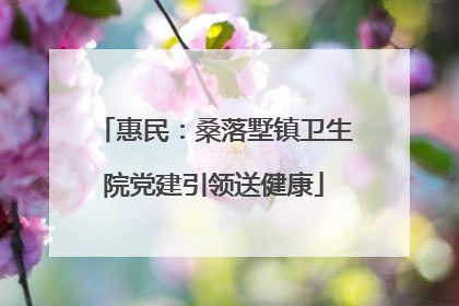 惠民：桑落墅镇卫生院党建引领送健康