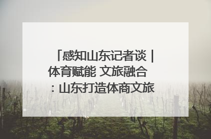 感知山东记者谈｜体育赋能 文旅融合：山东打造体商文旅融合发展新格局