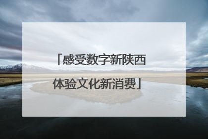 感受数字新陕西 体验文化新消费