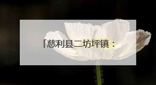 慈利县二坊坪镇：从建档立卡户到“农机达人”的奋斗路