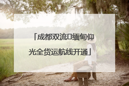 成都双流⇌缅甸仰光全货运航线开通