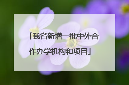 我省新增一批中外合作办学机构和项目