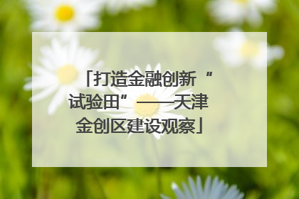 打造金融创新“试验田”——天津金创区建设观察