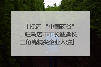 打造 “中国药谷”，驻马店市市长诚邀长三角高精尖企业入驻