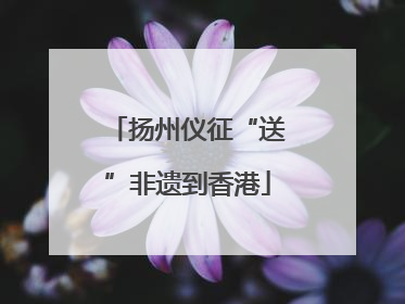 扬州仪征“送”非遗到香港
