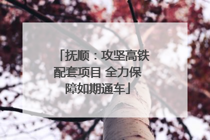 抚顺：攻坚高铁配套项目 全力保障如期通车