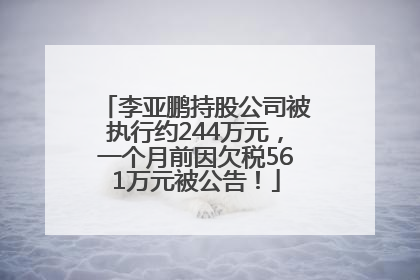 李亚鹏持股公司被执行约244万元，一个月前因欠税561万元被公告！